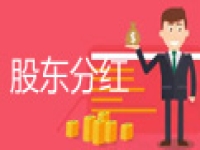【详解】价值百万的股东分红算法